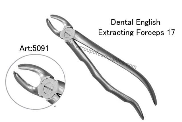 Dental English  Extraction Forceps Gold   Anatomical & finger Handle