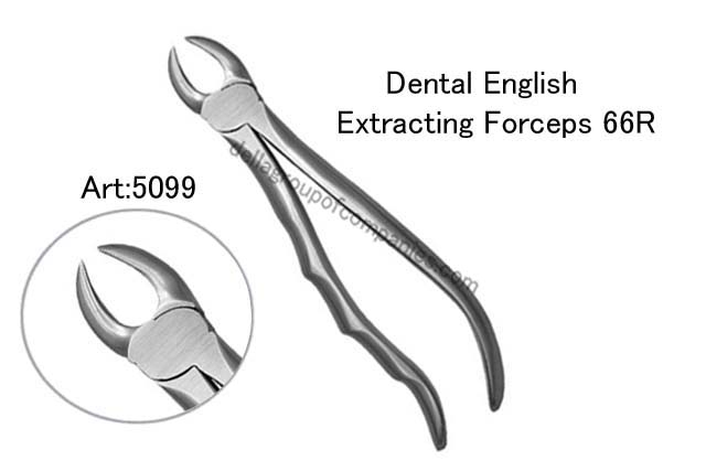 Dental English  Extraction Forceps  Anatomical & finger Handle 