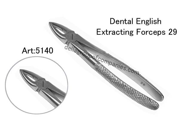Dental English Extraction Forceps 