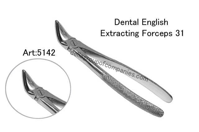 Dental English  Extraction Forceps 