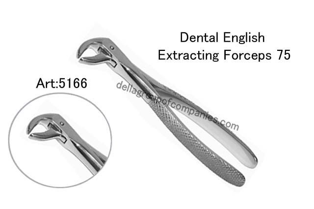Dental English Extraction Forceps 