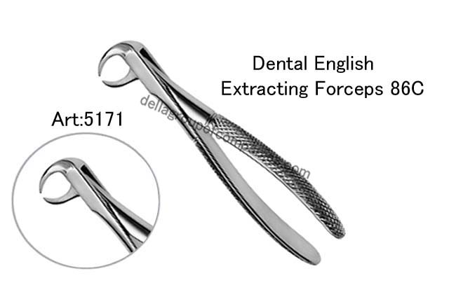 Dental English Extraction Forceps 