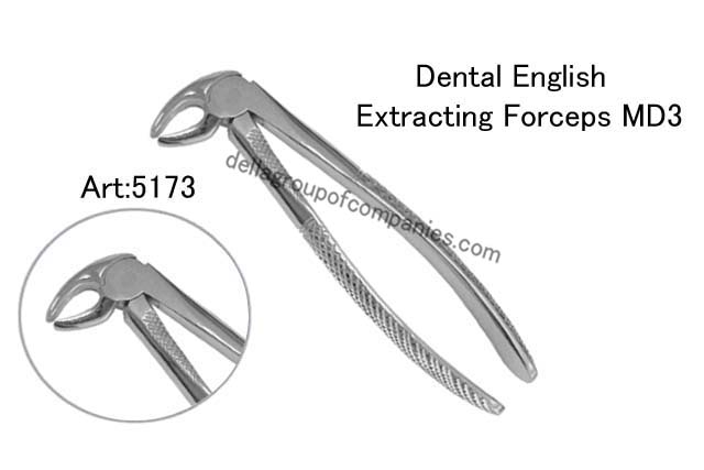Dental English Extraction Forceps 