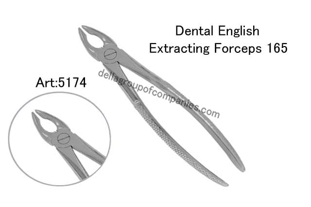Dental English Extraction Forceps 
