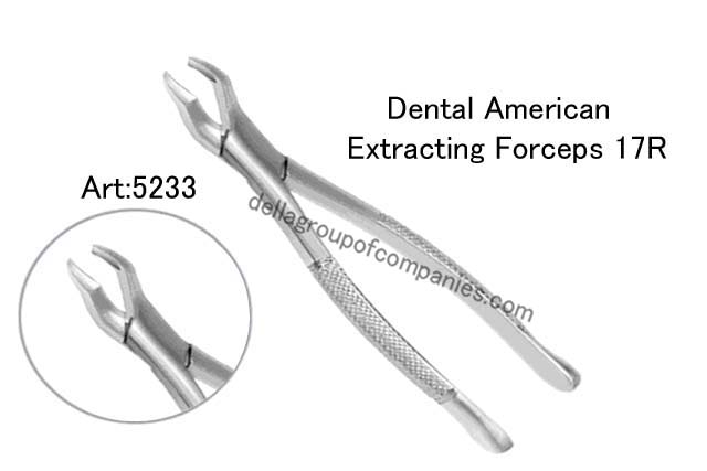 Dental American Extracting Forceps 