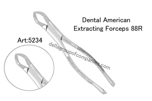 Dental American Extracting Forceps 