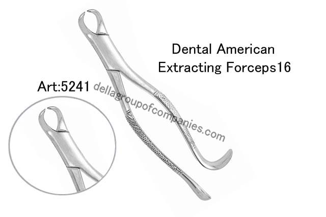 Dental American Extracting Forceps 