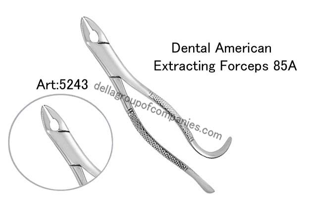 Dental American Extracting Forceps 