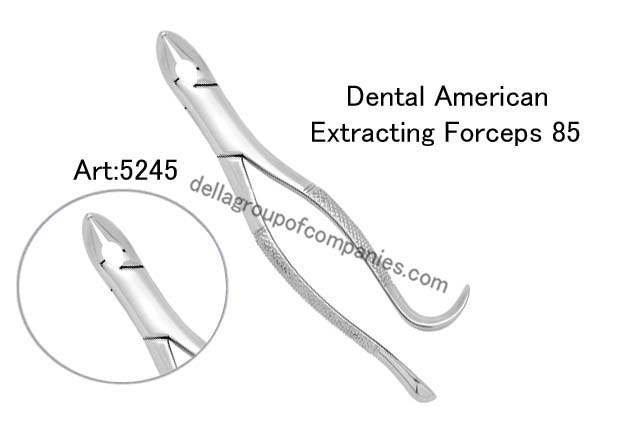 Dental American Extracting Forceps 