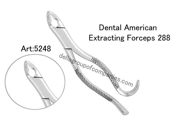 Dental American Extracting Forceps 