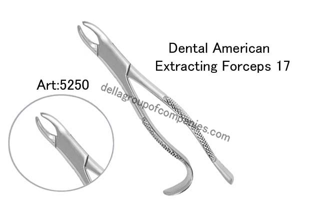 Dental American Extracting Forceps 