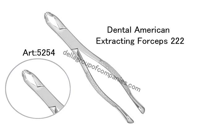 Dental American Extracting Forceps 