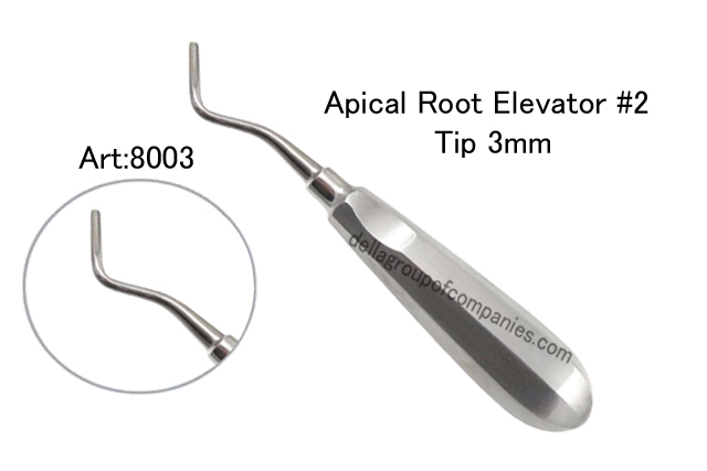 Apical Root Elevator 