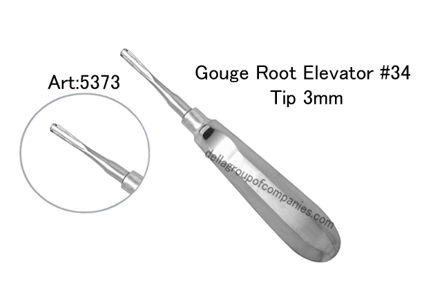 Gouge Root Elevator 
