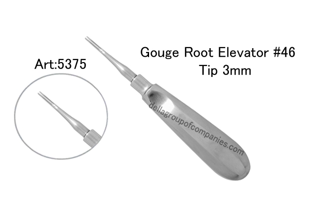 Gouge Root Elevator 