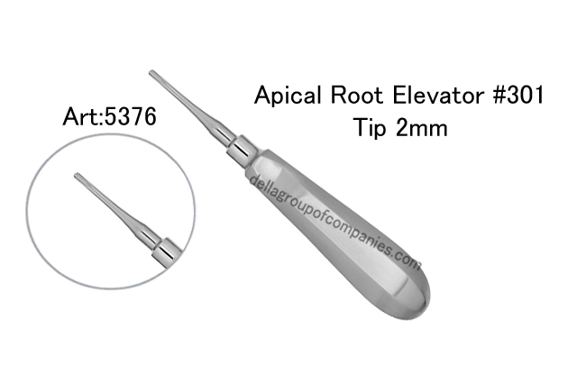 Apical Root Elevator 