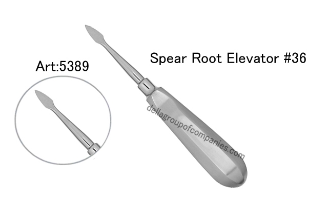 Spear Root Elevator