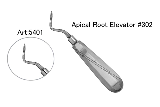 Apical Root Elevator