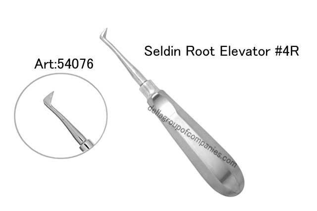 Seldin Root Elevator  