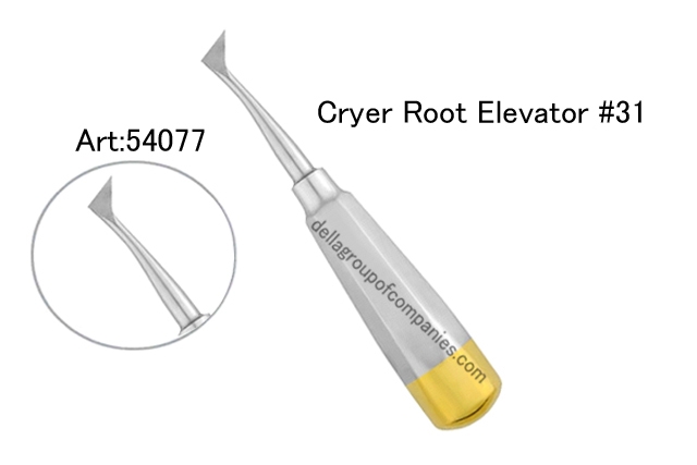 Cryer Root Elevator 