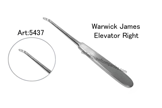 Warwick James Elevator 