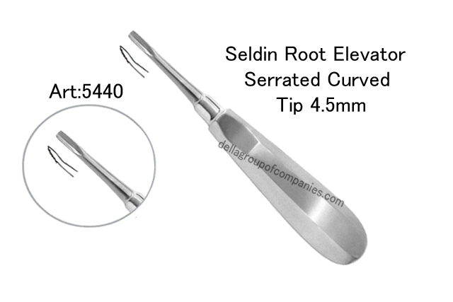 Seldin Root Elevator Serrated 