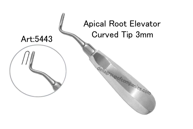 Apical Root Elevator