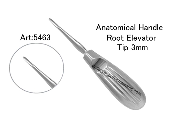 Anatomical Handle Root Elevator