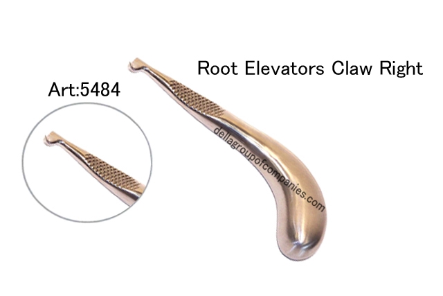 Root Elevators Claw-Right