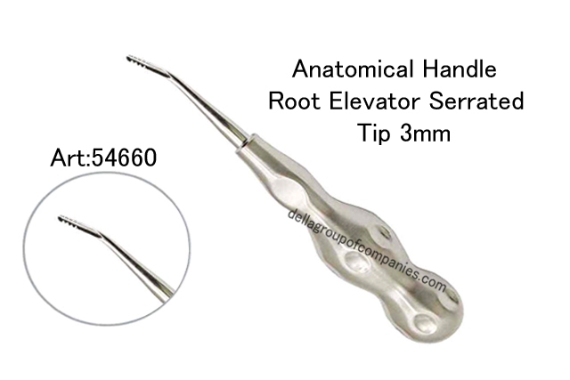 Anatomical Handle Root Elevator Serrated